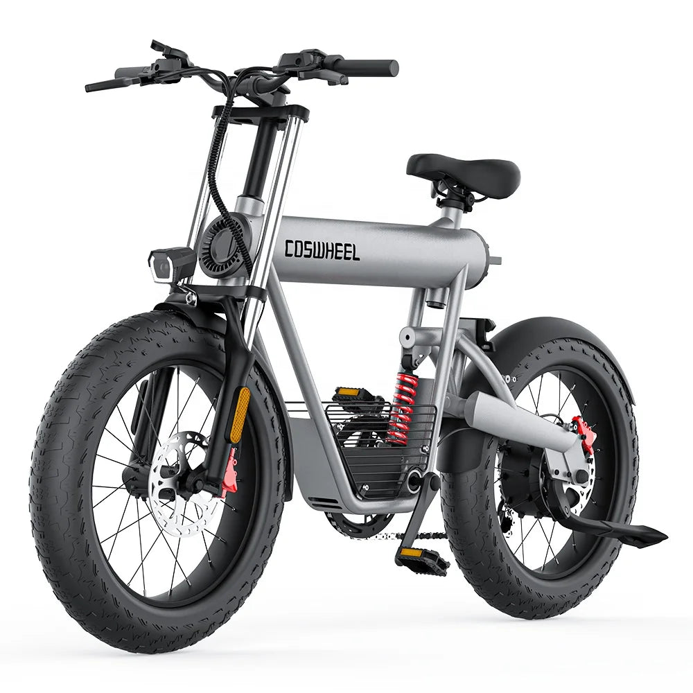 Free Shipping EU USA Warehouse CE 500w 1000w 2 Oil Disc Brake Electric Bicycle Electric City Bike