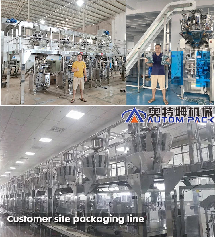High Accuracy High Speed Mushroom Butterfly Popcorn Pouch Sugar Packing Sugar Pasta Rice Granules Packing Machine Price