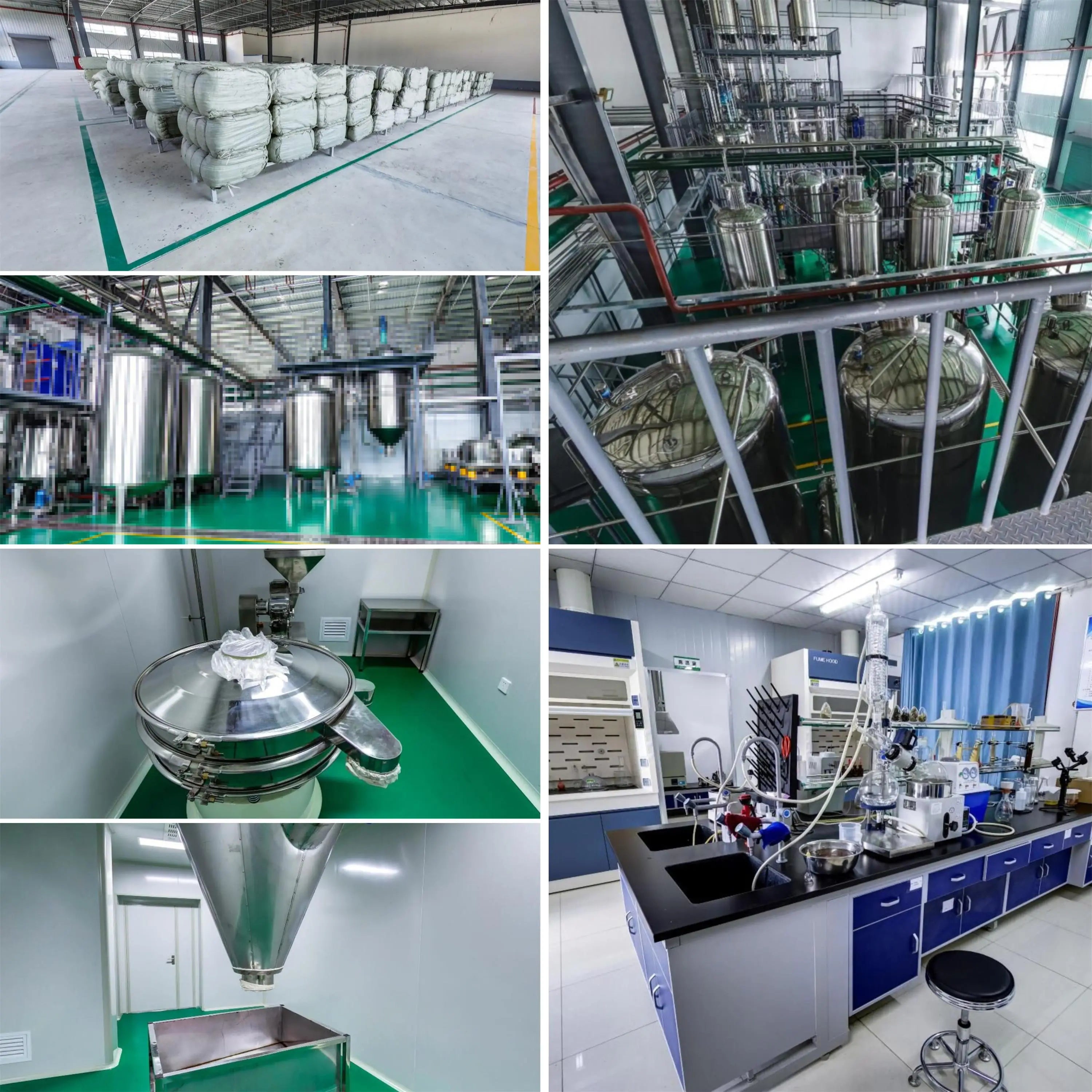 Bulk Price Top Grade Vitamin Amino Acids and Coenzymes Vitamin B1 B2 B3 B4 B5 B6 B7 B8 B9 B11 B12 Powder