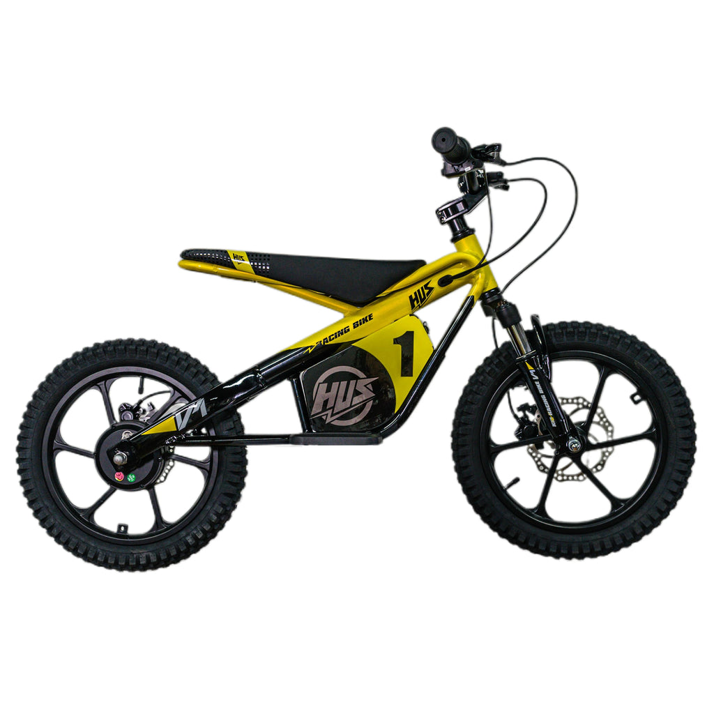 16 Inch Kids Electric Dirt Bike 653W Brushless Motor 33KM/H High Speed 2-Speed Off-Road E-Bike