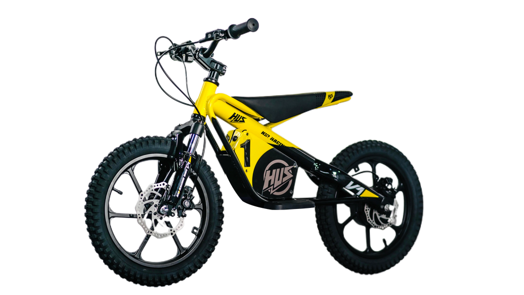 16 Inch Kids Electric Dirt Bike 653W Brushless Motor 33KM/H High Speed 2-Speed Off-Road E-Bike