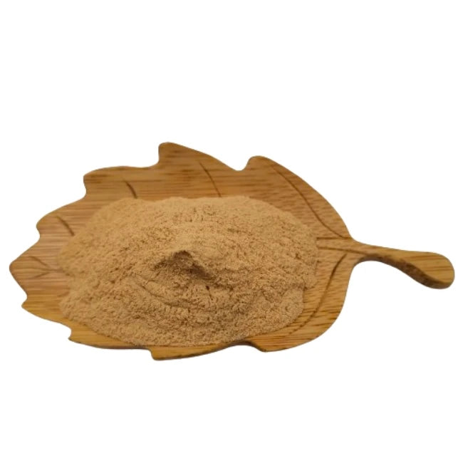 OEM ODM Ashwagandha Extract 5 %withanolides Ashwagandha Extract Powder
