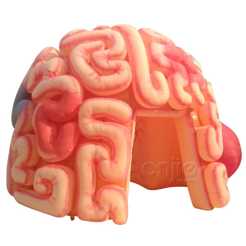 Medical Inflatables Exhibit Inflatable Human Organs Educational Brain Models
