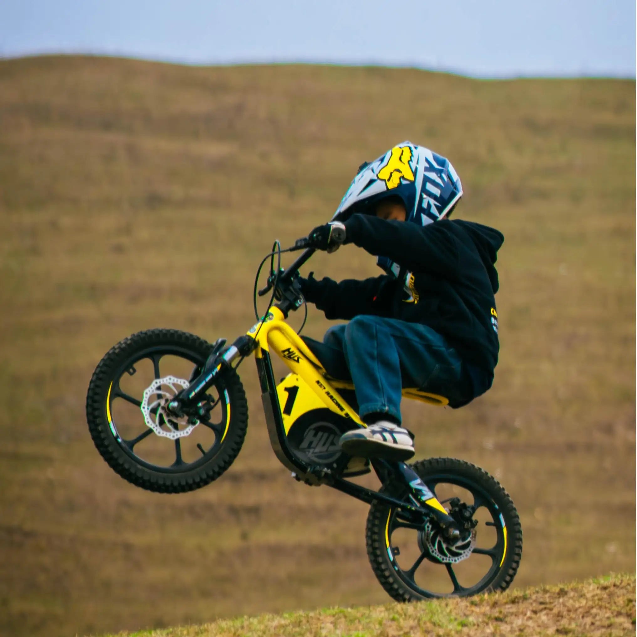 16 Inch Kids Electric Dirt Bike 653W Brushless Motor 33KM/H High Speed 2-Speed Off-Road E-Bike