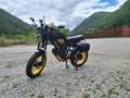 3000W Dual Battery Electric Motorcycles 48V Long Range Electric Dirt Bike Racing Off-Road Motorcycle