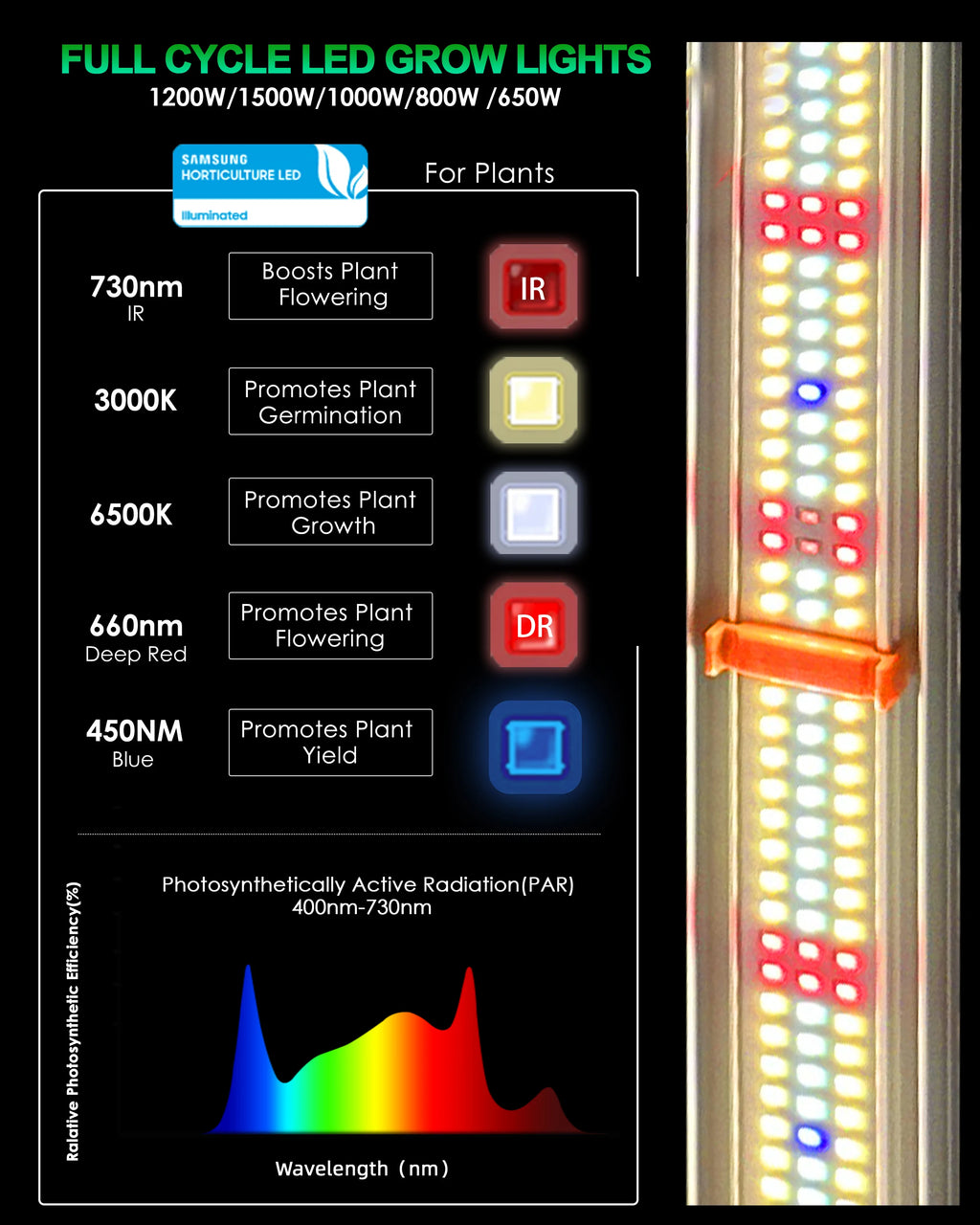 Redfarm Led Aluminum 650w 4*4 Led Grow Light Led Bulbs for Home Plant bar Folding Commercial Full Spectrum Led Grow Light