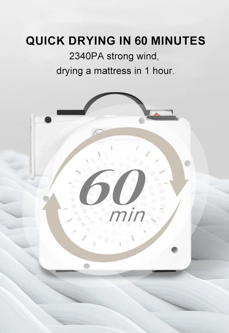 sofa New Carpet Mattress Quick Dry Extraction Vacuum Cleaner Steam Mattress Washing Function Plastic Restaurants Hotels