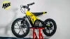 16 Inch Kids Electric Dirt Bike 653W Brushless Motor 33KM/H High Speed 2-Speed Off-Road E-Bike