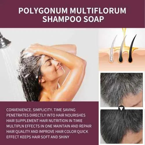 South Moon Korea Polygonum Darkening Shampoo  Brightening Restores Natural Color Black Strong Nourishing Hair
