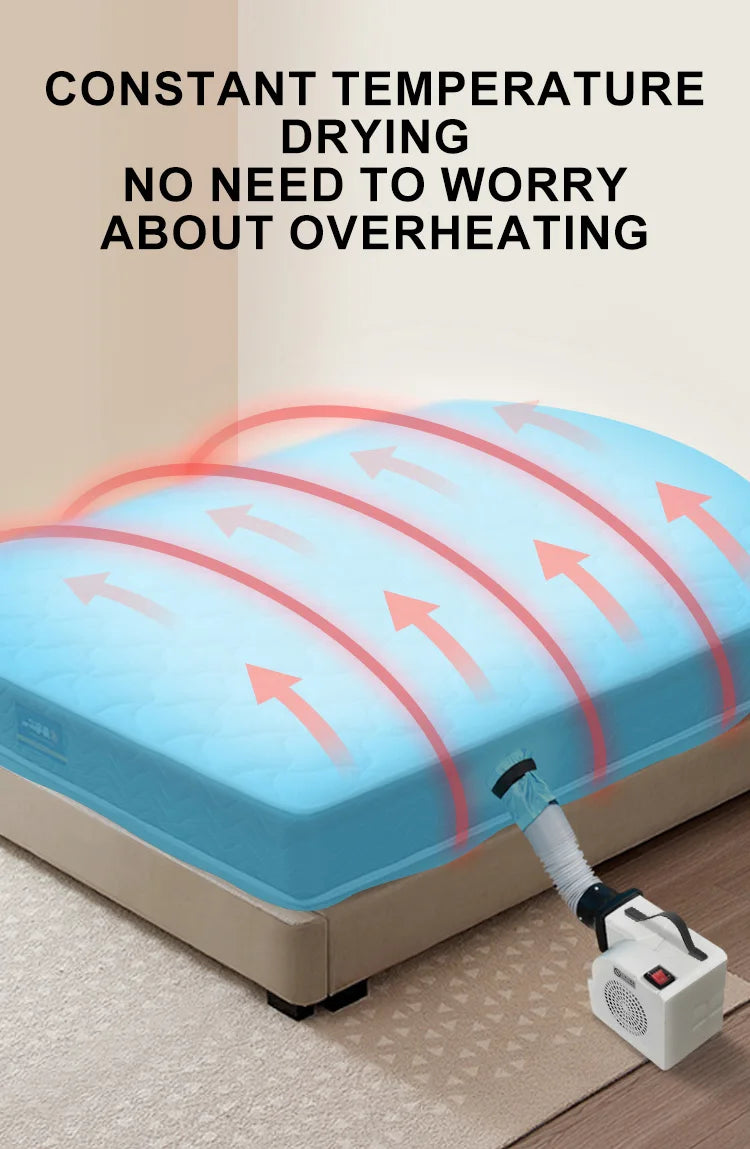 sofa New Carpet Mattress Quick Dry Extraction Vacuum Cleaner Steam Mattress Washing Function Plastic Restaurants Hotels