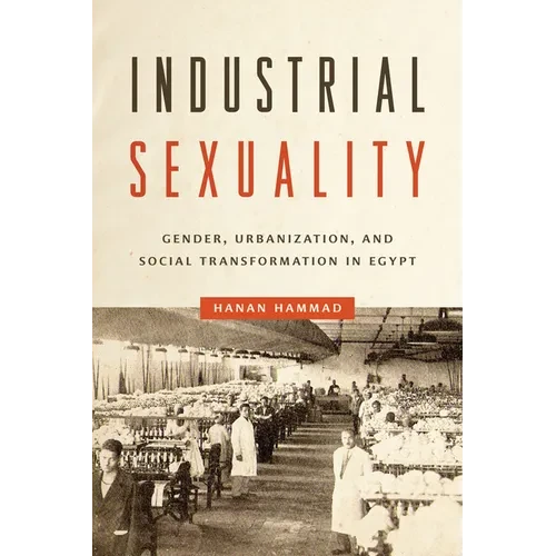 Industrial Sexuality: Gender, Urbanization, and Social Transformation in Egypt - Hardcover