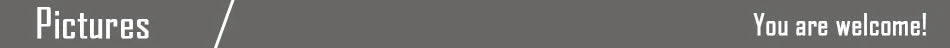 16-31cm Pokemon Standing Lucario Shiny Plush Doll Cute Mega Riolu Animal Stuffed Quality Peluche Toy Children Halloween Gifts