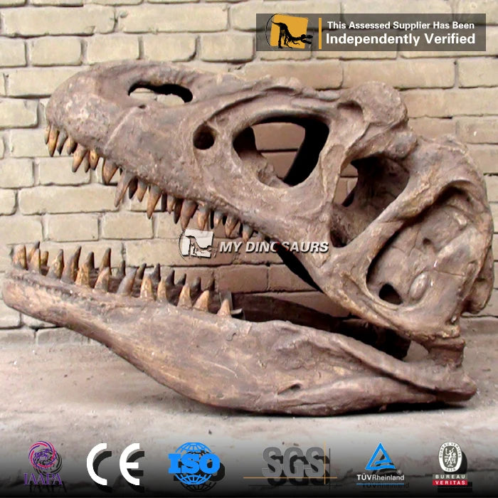 My Dino Artificial Life Size Dinosaur T-rex Head Skeleton