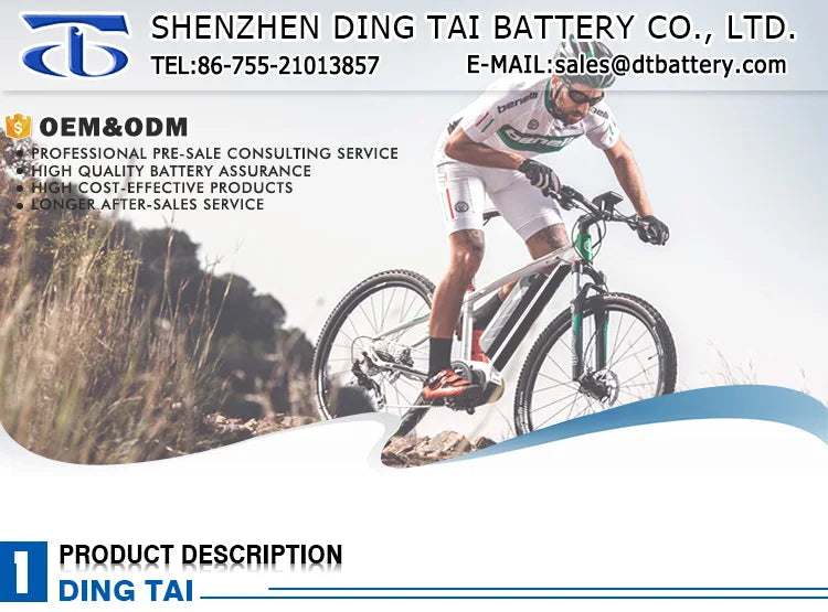 ANCHEER Ebike Removable Battery 48V 10.4Ah 14Ah ANCHEER Swan Electric Bike Rear Rack Battery With Charger