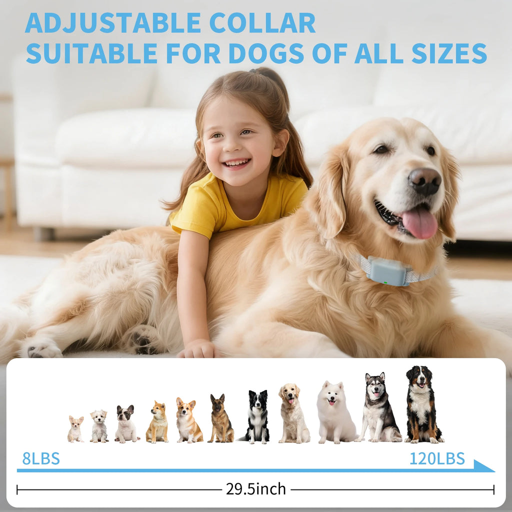 Fashionable IPX7 Waterproof Dog Training Collar Receiver Compact Rechargeable Pet Remote Control Device with 3 Mode