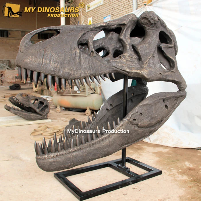 My Dino Artificial Life Size Dinosaur T-rex Head Skeleton