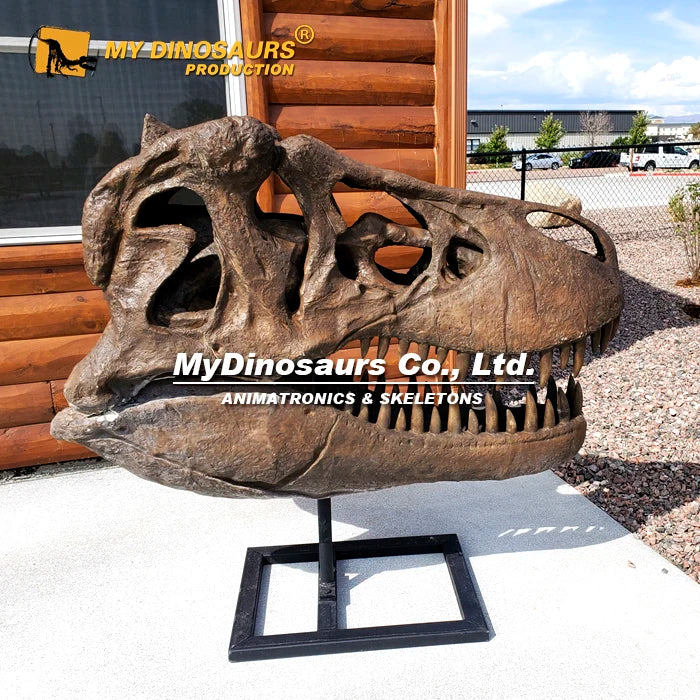 My Dino Artificial Life Size Dinosaur T-rex Head Skeleton
