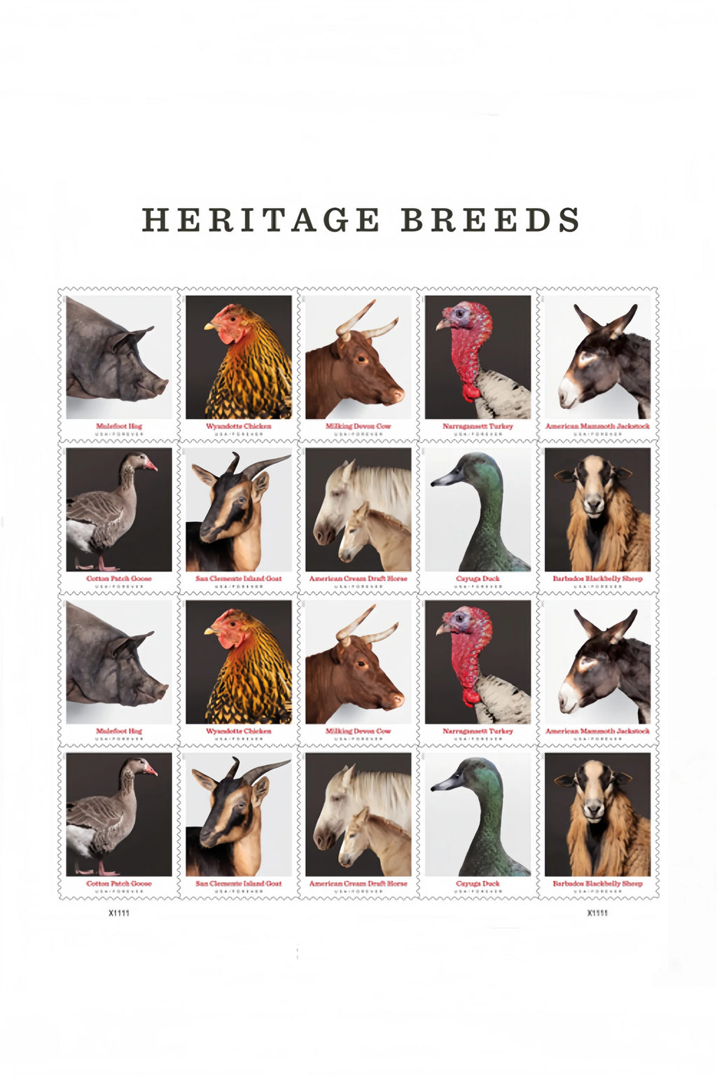 2011 Save the Tigers 2002 American Bat US Classic Vintage Stamps One Sheet Contains 20 Pieces Suitable for Envelopes
