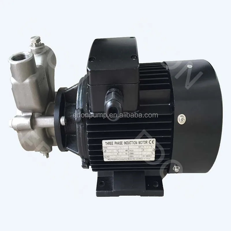 Micro Nano Bubble Generator Mixing Pump/DAF Pump/for Dissolved Air Floatation 40EDQS22S Mixing Pump Ozone