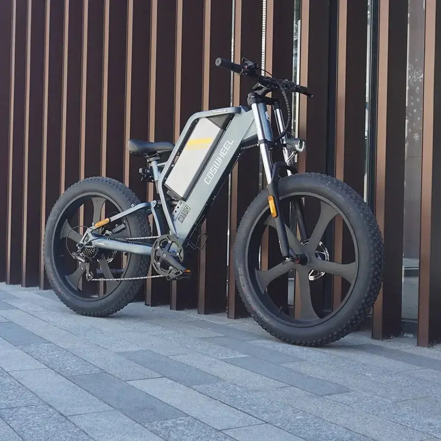 Fast Delivery Off-road Electric Bike Wholesale in Bulk Quantity From China Top Supplier