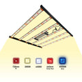 Redfarm Led Aluminum 650w 4*4 Led Grow Light Led Bulbs for Home Plant bar Folding Commercial Full Spectrum Led Grow Light