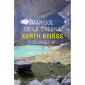 Earth Beings: Ecologies of Practice across Andean Worlds - Hardcover
