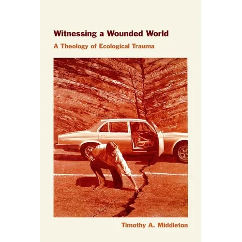 Witnessing a Wounded World: A Theology of Ecological Trauma - Paperback