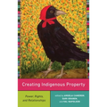 Creating Indigenous Property: Power, Rights, and Relationships - Paperback