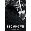 Blowdown - Paperback