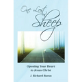 One Lost Sheep: Opening Your Heart to Jesus Christ - Paperback