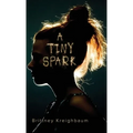 A Tiny Spark - Hardcover