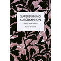 Supersuming Subsumption: Theory and Politics - Paperback
