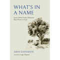 What's in a Name: Stories behind Arabic-Palestinian Place-Names in Israel - Paperback