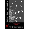 What I Saw in America - Paperback