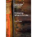 Knowing What It Is Like - Hardcover
