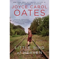 Little Bird of Heaven - Paperback