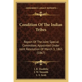 Condition Of The Indian Tribes: Report Of The Joint Special Committee, Appointed Under Joint Resolution Of March 3, 1865 (1867) - Paperback