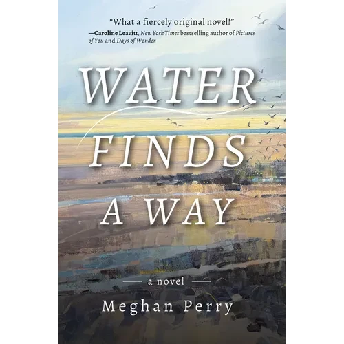 Water Finds a Way a Novel - Paperback