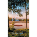 One Piece out of Place - Hardcover