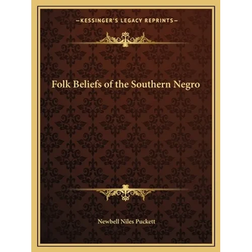 Folk Beliefs of the Southern Negro - Paperback