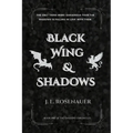 Black Wing and Shadows: Book One of the Sandorg Chronicles - Paperback
