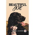 Beautiful Joe - Paperback