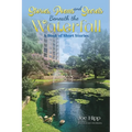 Stories, Poems, and Secrets Beneath the Waterfall - Paperback