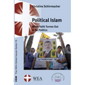 Political Islam - Hardcover