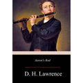Aaron's Rod - Paperback