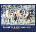 Coloring the Chincoteague Ponies - Paperback