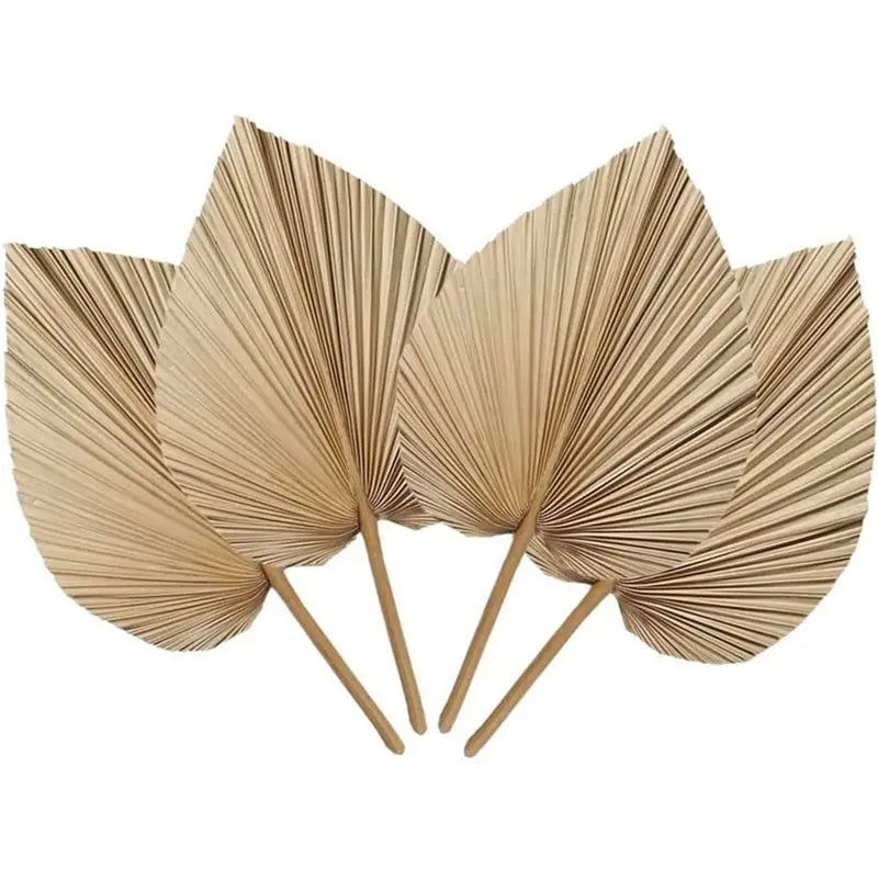 Fresh 4 Pieces Natural Dried Palm Leaves Home Furnishing Palm Leaves Perfect For Palm Leaf Decor, Boho Decor, Home Decor, Weddin