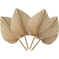 Fresh 4 Pieces Natural Dried Palm Leaves Home Furnishing Palm Leaves Perfect For Palm Leaf Decor, Boho Decor, Home Decor, Weddin