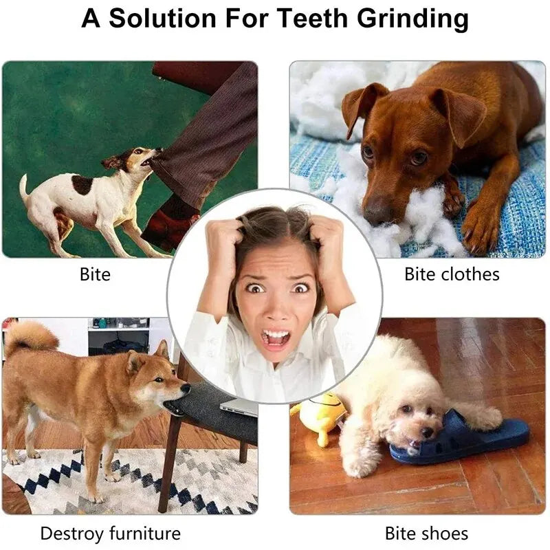 Rubber Dog Treat Ball Toy – Nontoxic Chew & Teeth Cleaner
