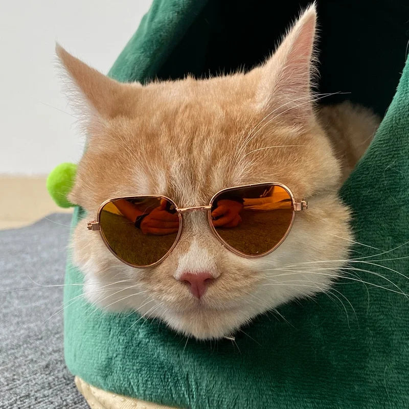 Non-Slip Cat Glasses Pet Accessories Small Dog Sunglasses Puppy Kitty Cosplay Costume Photo Props Cute Animal Eyewear